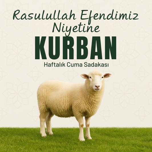 Rasulullah Efendimiz Niyetine Kurban
